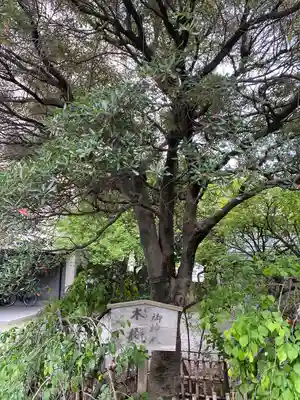 牛天神北野神社(東京都)