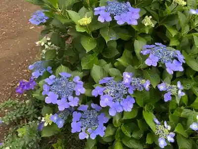 赤城神社(群馬県)
