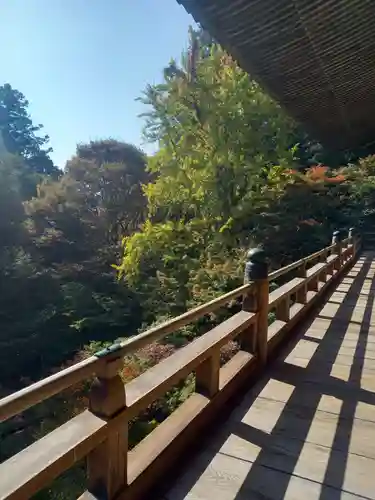 圓教寺の建物その他