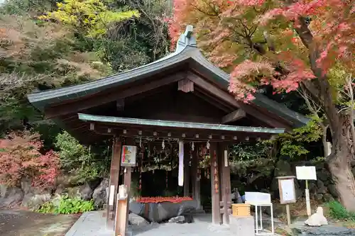 鎌倉宮の手水舎