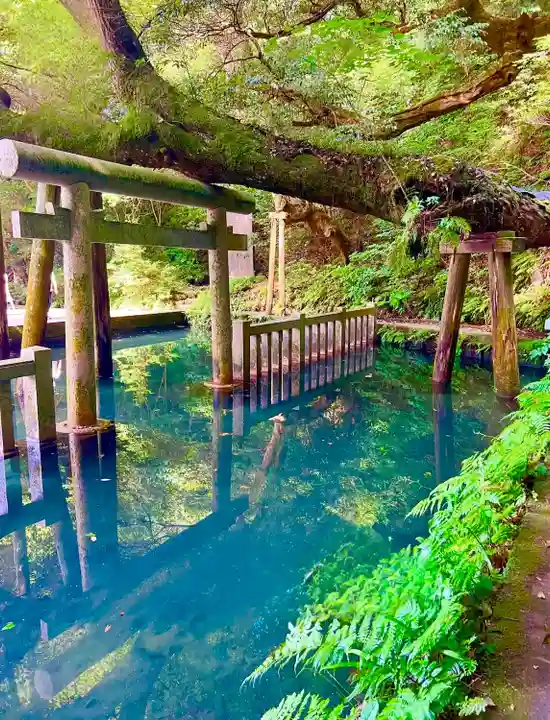 鹿島神宮(茨城県)
