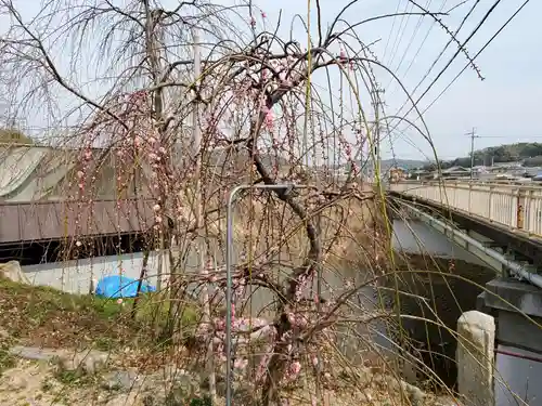 淡河八幡神社の自然