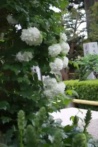 石光寺(奈良県)