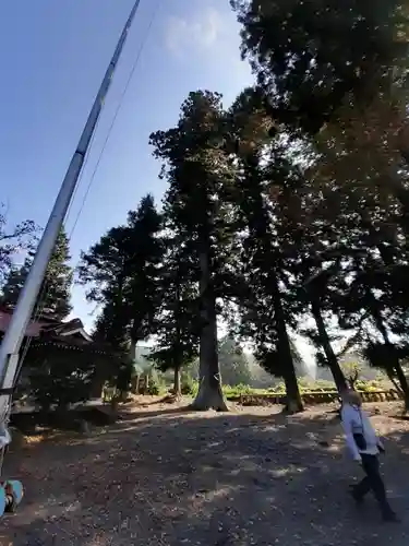 花室神社(茨城県)