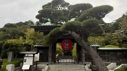 長谷寺の山門・神門