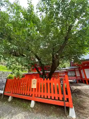 金櫻神社(山梨県)