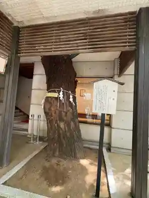 乃木神社(東京都)