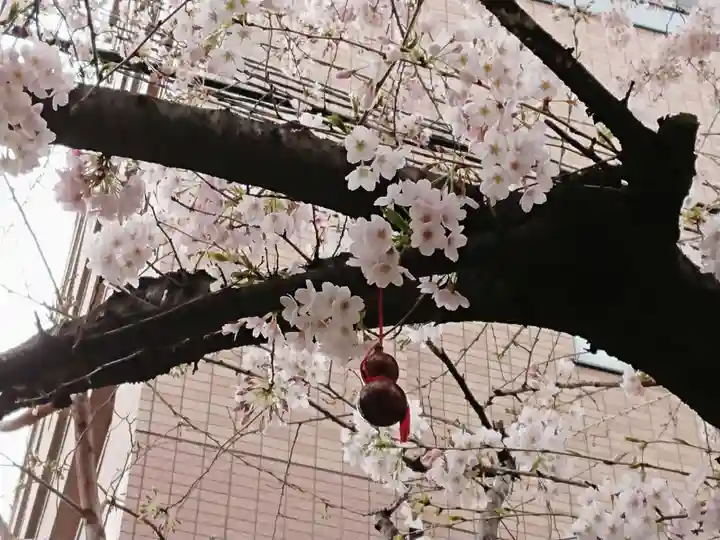 秋葉神社の自然