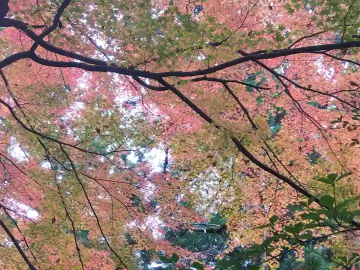 永平寺(福井県)