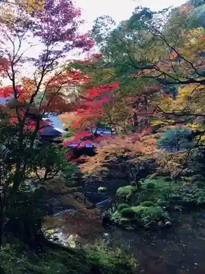 南禅寺(京都府)