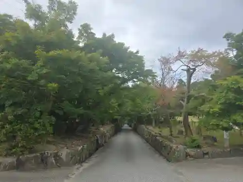 興聖寺（興聖寶林禅寺）(京都府)