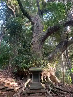 上諏訪神社(千葉県)