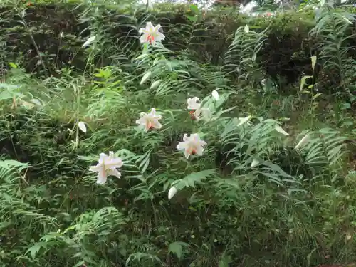 三春大神宮(福島県)