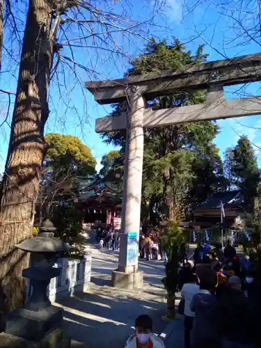葛西神社の鳥居