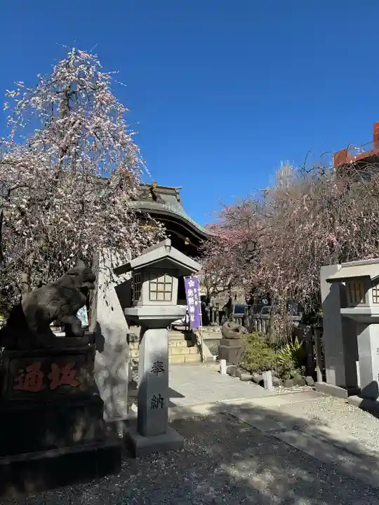 牛天神北野神社(東京都)