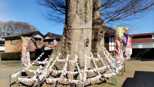 八枝神社(埼玉県)