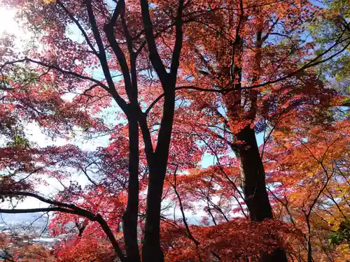 妙法寺(福井県)