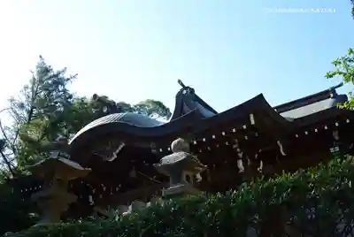 相模国総社六所神社の本殿・本堂