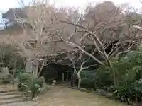 若倭姫神社の自然