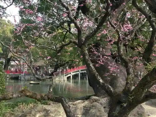 太宰府天満宮の庭園