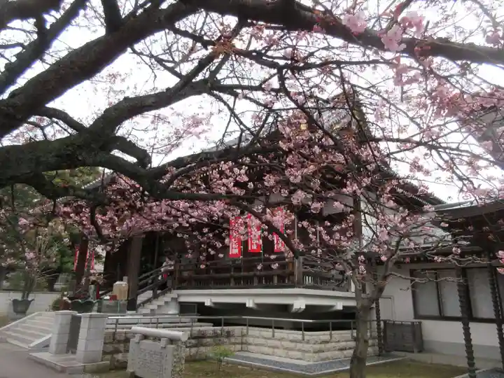寛永寺開山堂の庭園