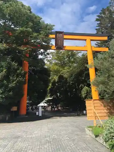 川越氷川神社の鳥居