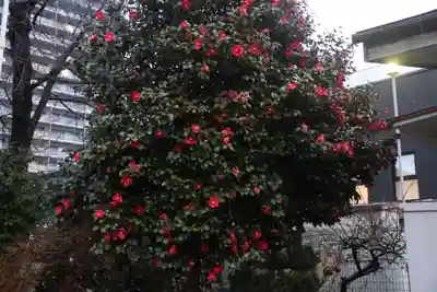 晴門田神社の庭園