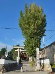 八幡神社の建物その他