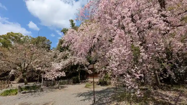 平野神社(京都府)