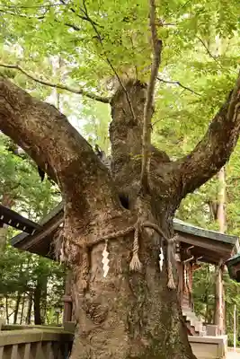 穂高神社本宮(長野県)