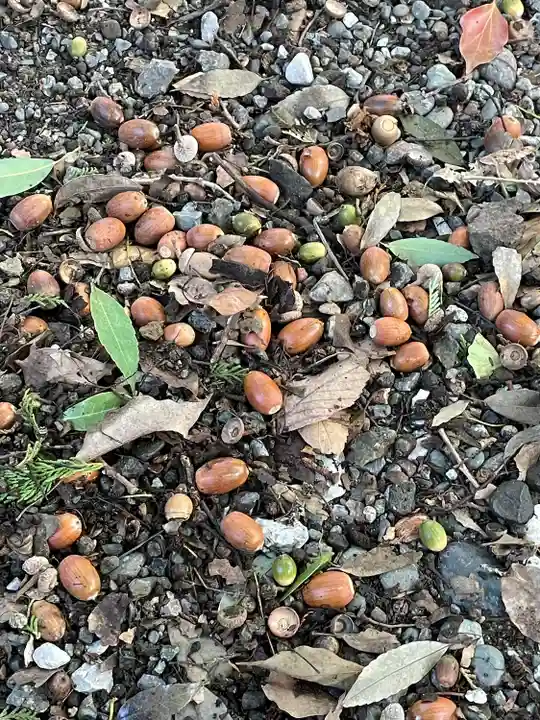 笠䅣稲荷神社(神奈川県)