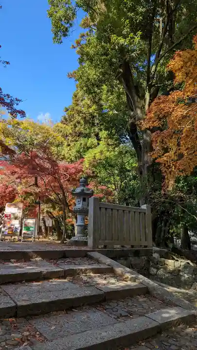 光明寺(粟生光明寺)(京都府)