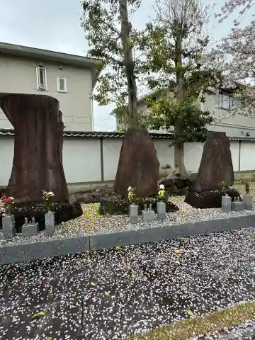 安栄寺(愛知県)
