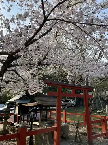 氷室神社の{uncategorized: "未分類", other: "その他", undefined: "問題あり", building: "その他建物", grave: "お墓", sacred_gate: "鳥居", guardian: "狛犬", statue: "像", buddha: "仏像", history: "歴史", nature: "自然", garden: "庭園", animal: "動物", pagoda: "塔", temizu: "手水舎", mountain_gate: "山門・神門", sanctuary: "本殿・本堂", subordinate: "末社・摂社", art: "芸術", scenery: "景色", jizo: "地蔵", ema: "絵馬", goshuin: "御朱印", omikuji: "おみくじ", items: "授与品その他", amulet: "お守り", goshuincho: "御朱印帳", eats: "食事", festival: "お祭り", votive_dance: "神楽", shichigosan: "七五三参", wedding: "結婚式", experience: "体験その他", initially: "初詣", around: "周辺", anti_infection: "感染症対策"}
