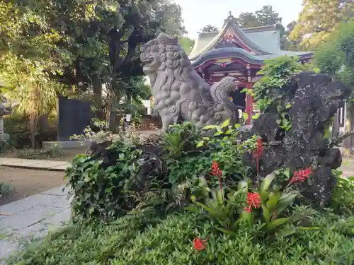 柏諏訪神社の狛犬