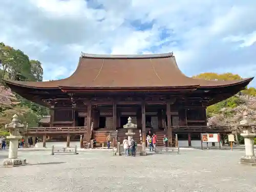 園城寺（三井寺）の本殿