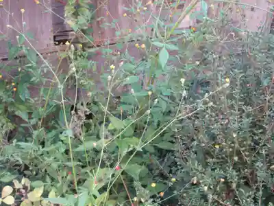 田端稲荷神社(埼玉県)