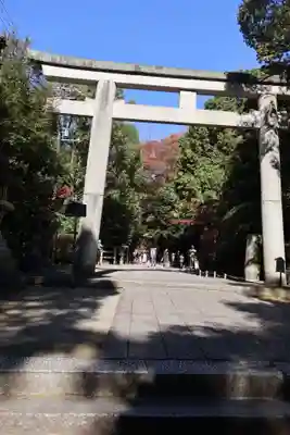 石清水八幡宮(京都府)
