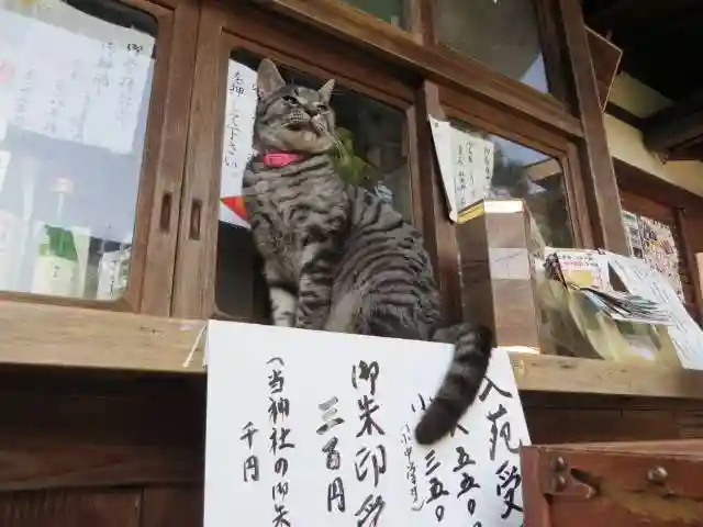 梅宮大社(京都府)