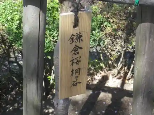 鶴岡八幡宮(神奈川県)