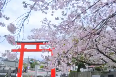 富士山本宮浅間大社(静岡県)