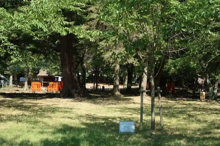 賀茂別雷神社(上賀茂神社)(京都府)