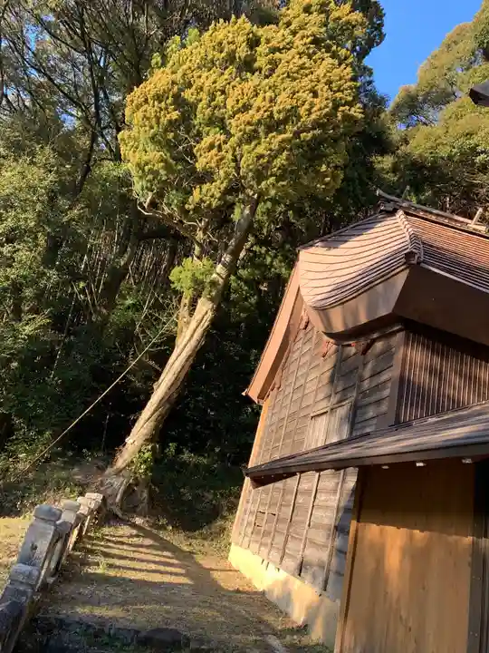 志多里八幡宮の本殿・本堂