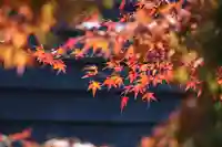 国宝 大法寺の自然