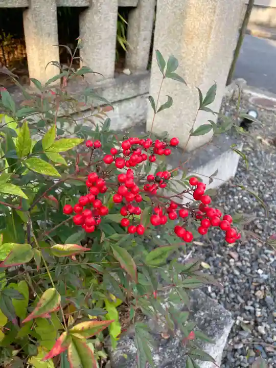 西四条斎宮 西院野々宮神社(春日神社御旅所)(京都府)