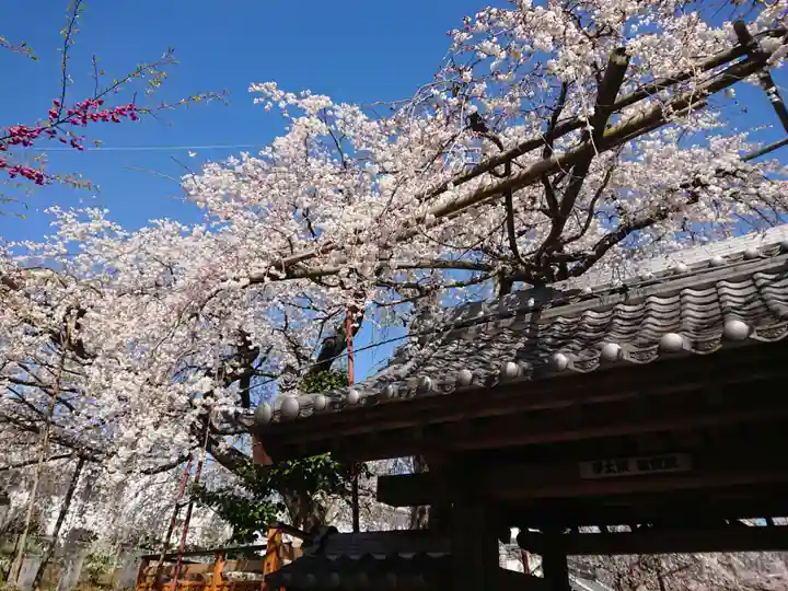 源空院(浅井寺)(愛知県)