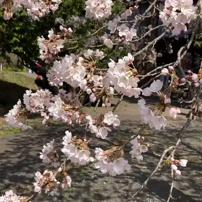 高司神社〜むすびの神の鎮まる社〜(福島県)