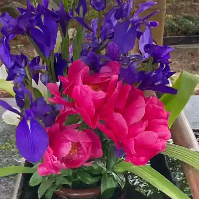 高司神社〜むすびの神の鎮まる社〜(福島県)