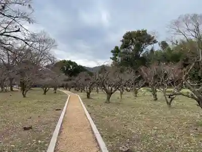 大覚寺(京都府)
