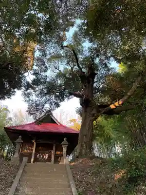 皇産霊神社の本殿・本堂